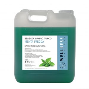 Menta fredda essenza-bagno-turco tanica 5 lt.
